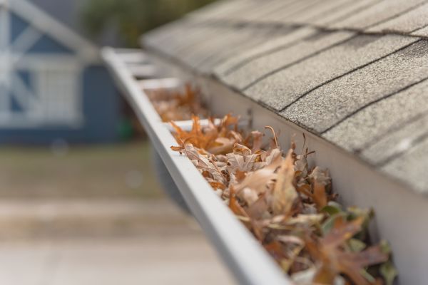 Leaf Barrier Installation in Plano